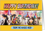 Happy Birthday Herd card