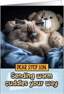 Step Son Warm Cuddles Himalayan Cat card