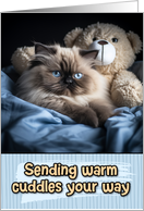 Warm Cuddles Himalayan Cat card