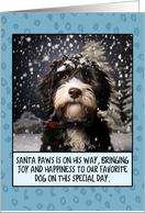 Portuguese Water Dog Christmas card