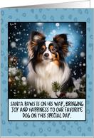 Papillon Dog Christmas card