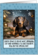 Longhaired Dachshund Christmas card
