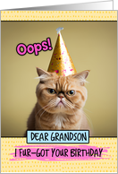 Grandson Belated Birthday Wishes Cat card