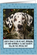 Dalmatian Dog Christmas card