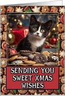 Tuxedo Kitten Sweet Christmas Wishes card