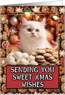 White Kitten Sweet Christmas Wishes card