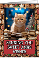 Ginger Kitten Sweet Christmas Wishes card