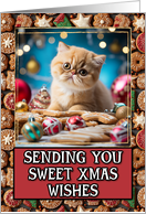 Exotic Shorthair Kitten Sweet Christmas Wishes card