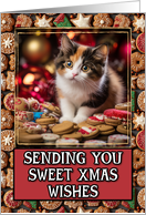 Calico Kitten Sweet Christmas Wishes card