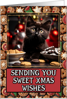 Black Kitten Sweet Christmas Wishes card
