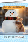 Great Granddaughter Thinking of You Ginger Cat and Snowman card