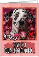 Dalmatian and Roses Valentine’s Day card