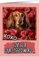 Dachshund Longhaired and Roses Valentine’s Day card