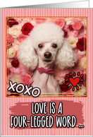 White Poodle and Roses Valentine’s Day card