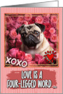 Pug and Roses Valentine’s Day card