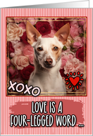Portuguese Podengo and Roses Valentine’s Day card