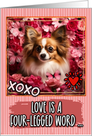 Papillon Dog and Roses Valentine’s Day card
