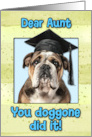 Aunt Congratulations Graduation English Bulldog card