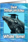 Sister in Law Congratulations Graduation Whale card