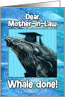 Mother in Law Congratulations Graduation Whale card