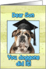 Son Congratulations Graduation English Bulldog card