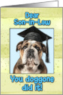 Son in Law Congratulations Graduation English Bulldog card