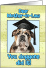 Mother in Law Congratulations Graduation English Bulldog card