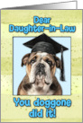 Daughter in Law Congratulations Graduation English Bulldog card