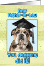 Father in Law Congratulations Graduation English Bulldog card