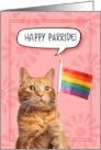 Happy Pride Ginger Cat with Rainbow Flag card