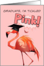 Congratulations Graduation Flamingo card