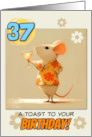 37 years Old Happy Birthday Rat with Cocktail card