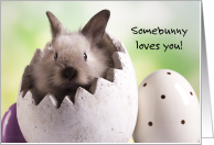 Somebunny Loves You - Happy Easter from Pet Rabbit card