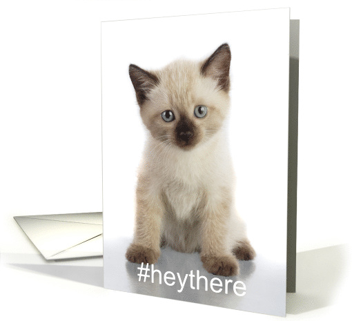 hashtag hey there, how are you, siamese kitten card (1391954)