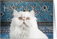 Happy Norooz White Persian Cat and Tiles card