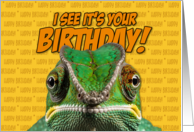 I See It’s Your Birthday Chameleon card