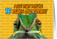 I See That You’re Sixteen Years Old Today Chameleon card