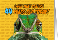 I See That You’re 44 Years Old Today Chameleon card