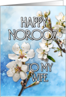 Happy Norooz Almond...