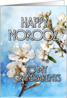 Happy Norooz Almond...