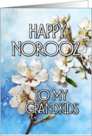 Happy Norooz Almond...