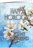 Happy Norooz Almond...