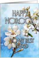 Happy Norooz Almond...