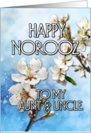 Happy Norooz Almond...