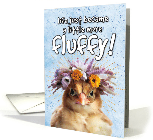 New Pet Chickens Fluffy card (1767718)