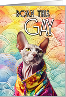 Born This Gay Sphynx Cat card