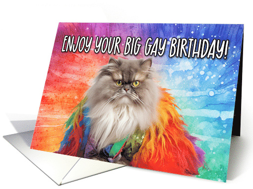 Enjoy Your Big Gay Birthday Persian Cat card (1767990)