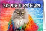 Enjoy Your Big Gay Birthday Persian Cat card