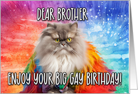 Brother Big Gay Birthday Persian Cat card