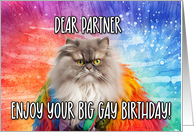 Partner Big Gay Birthday Persian Cat card